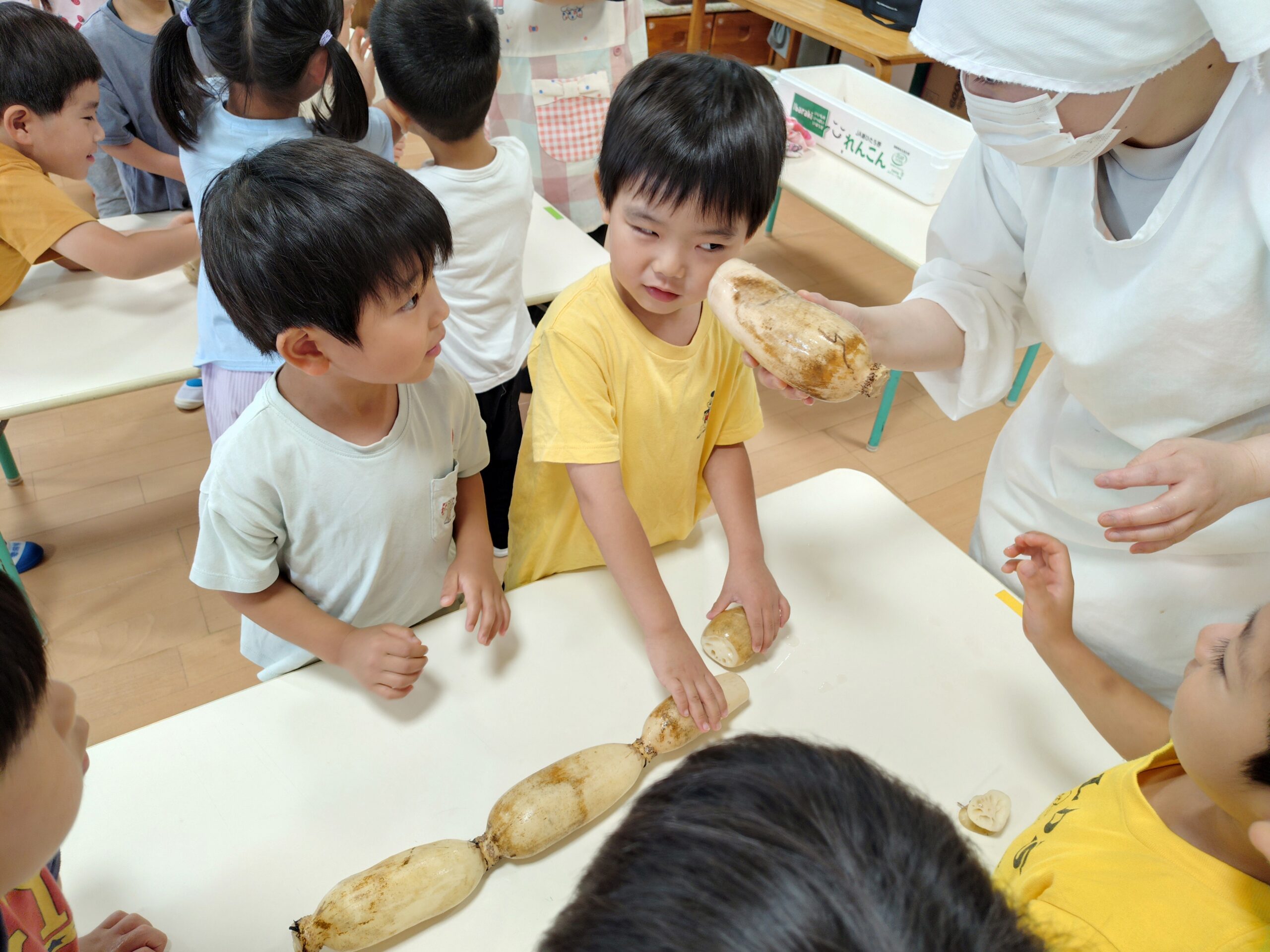6月浦安園のNEWS