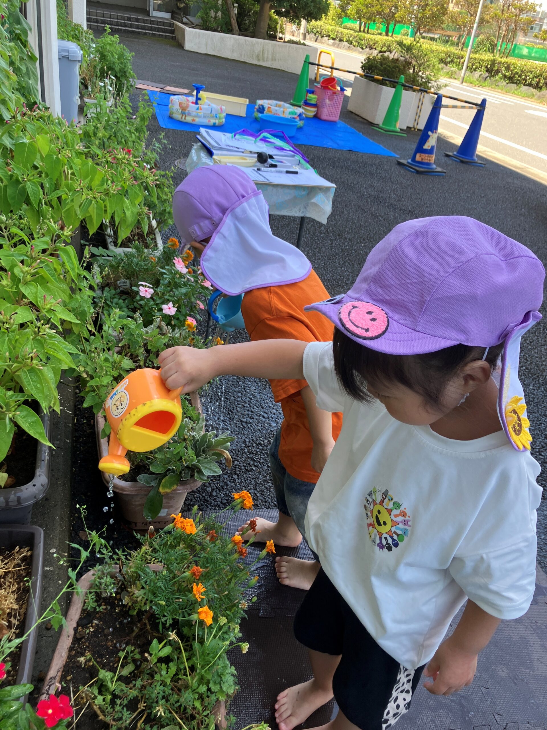 8月南行徳園のNEWS