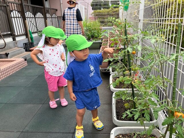 ８月検見川浜園のNEWS