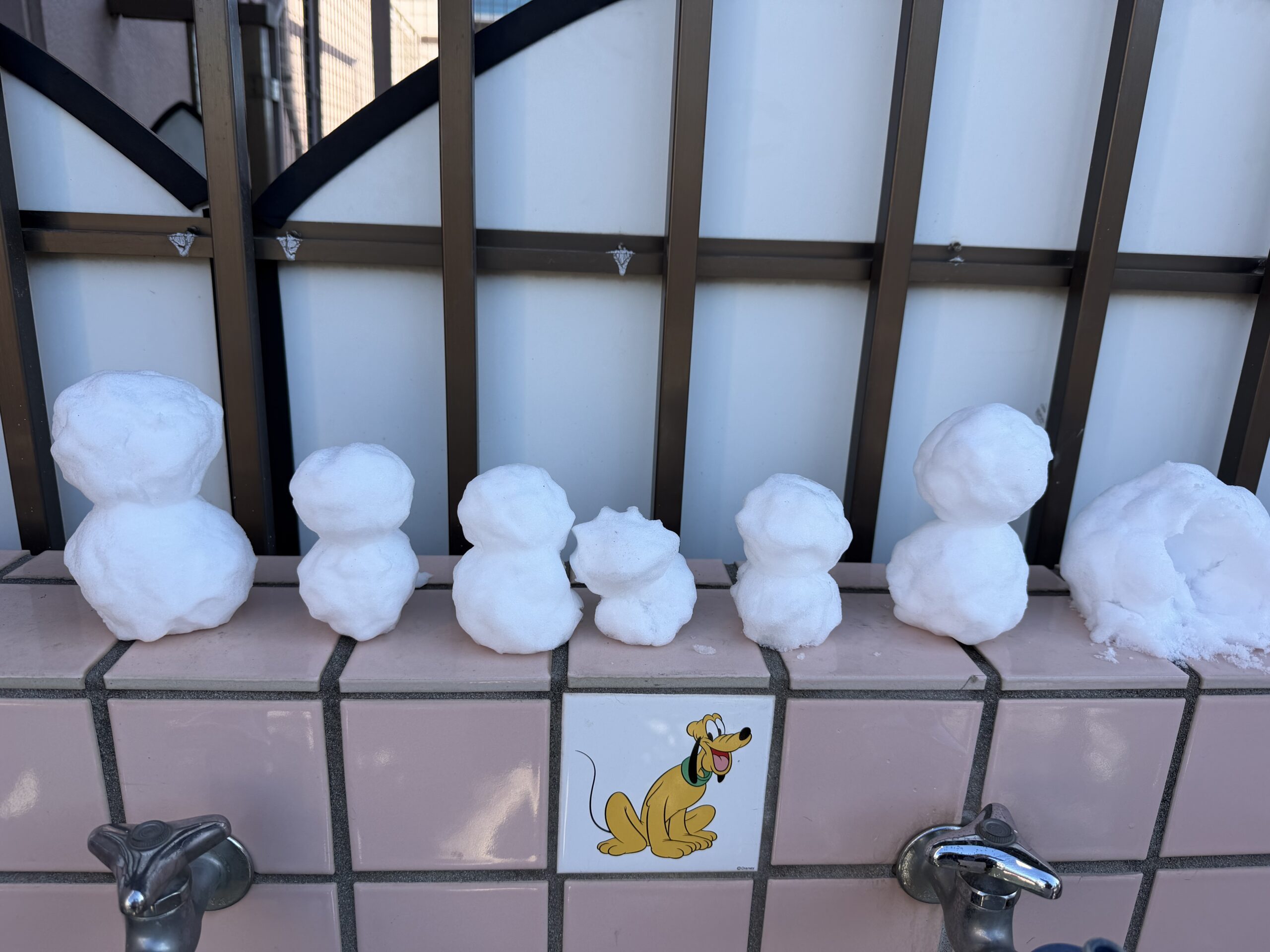 ２月検見川浜園のNEWS