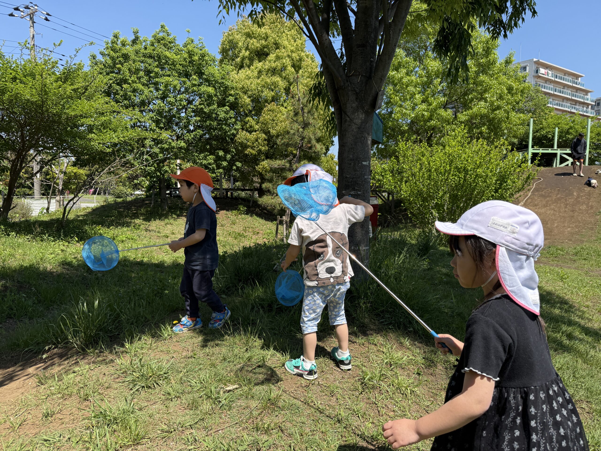 4月浦安園の様子